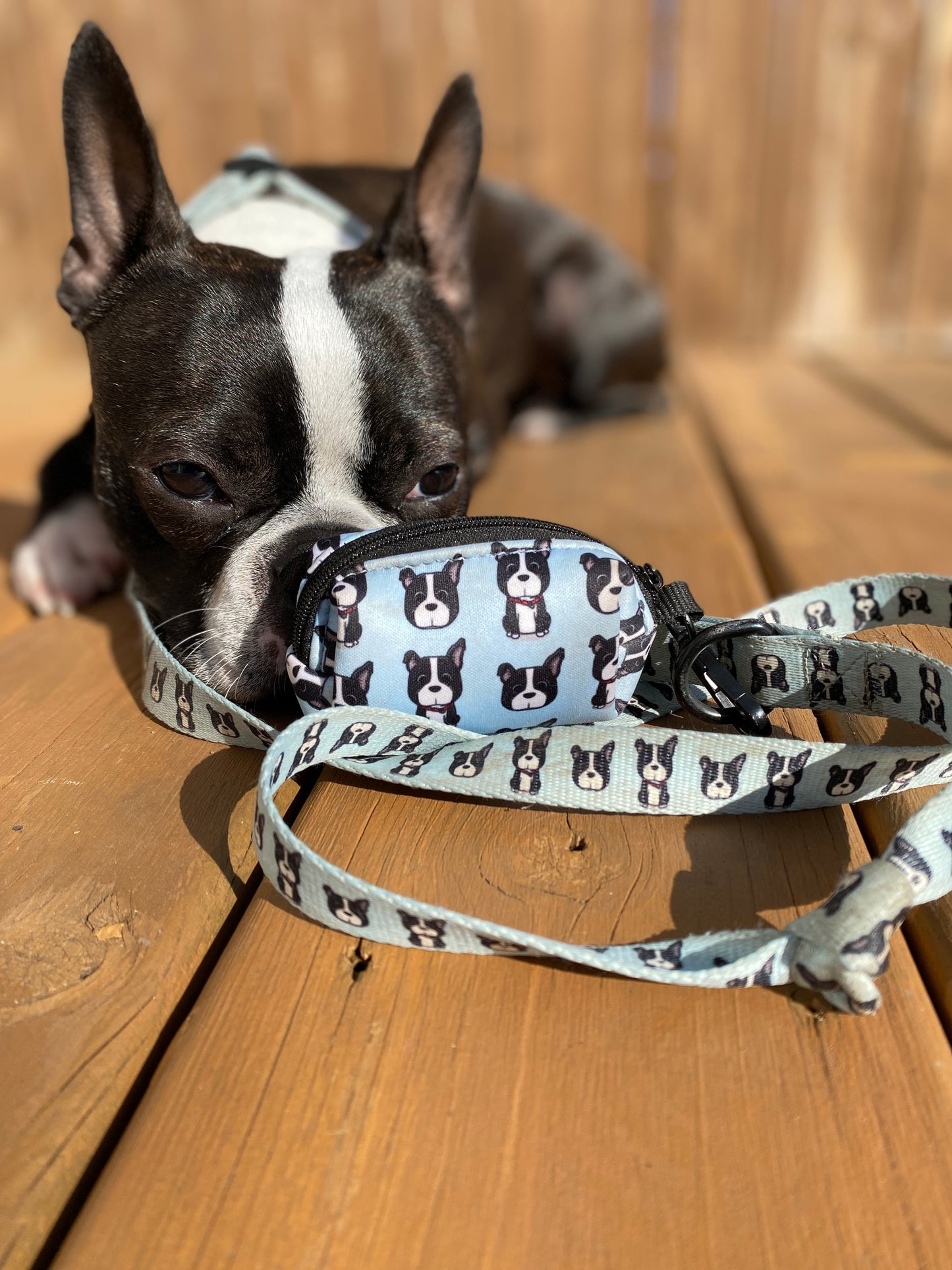 Black Brindle Collection